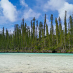 Piscine naturelle Piscine naturelle