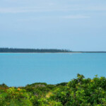 Ilot Brosse ilot brosse