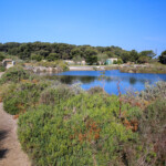 La lagune