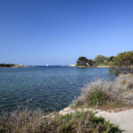 La lagune du Brusc